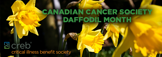 Daffodil