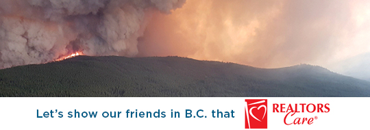 wildfire donations