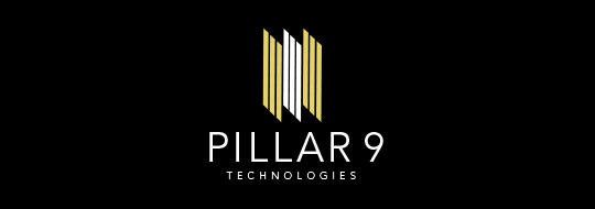 Pillar 9