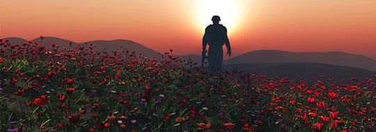 CT Remembrance Day