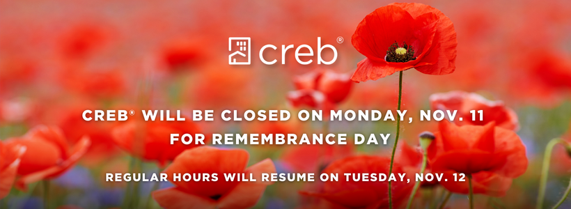 Remembrance Day CT Banner