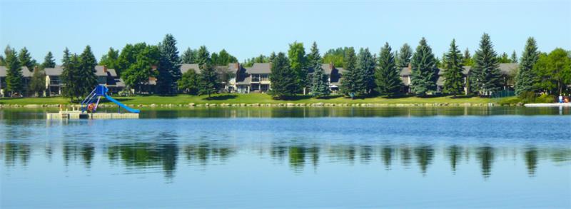 Blue lake with pine trees in the background